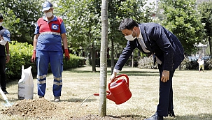 KAĞITHANE'DE SONBAHARIN RENGİ YEŞİL