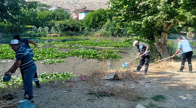 Nilüfer Çiçekleri Atıklardan Kurtarıldı