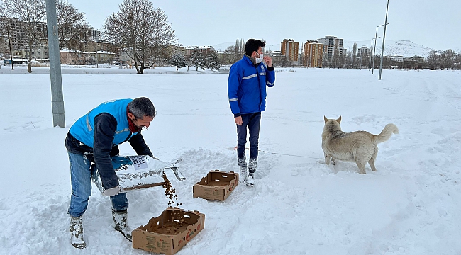 SOKAK HAYVANLARI UNUTULMADI