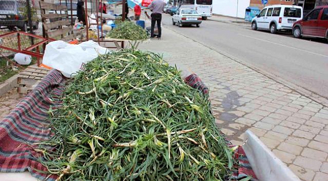 Kahramanmaraş'ta tarladan sofralara gelinceye kadar zor ve meşakkatli bir yolculuk yapan yemlik pazarlarda yerini aldı