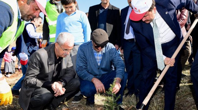 BAŞKAN ERKOÇ: "SİZİN DE BİR DİKİLİ AĞACINIZ OLSUN"