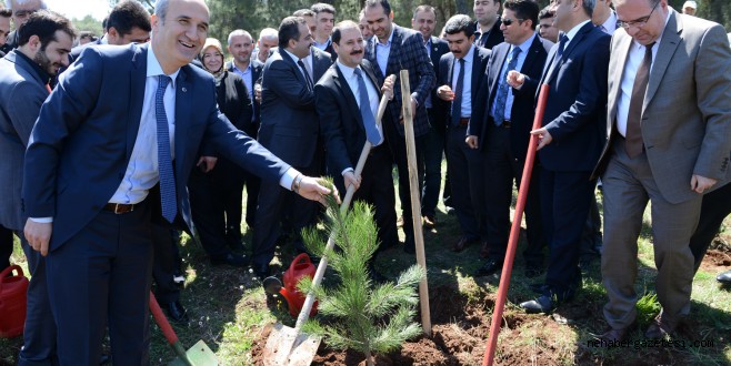 DULKADİROĞLU BELEDİYESİ'NDEN KUTLU DOĞUM HATIRA ORMANI