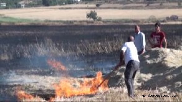 Hasada Hazır Bin Dönüm Buğday Tarlası Kül Oldu