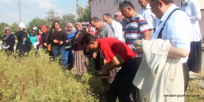 KADIN ÇİFTÇİLERE VERİLEN EĞİTİMLER DEVAM EDİYOR