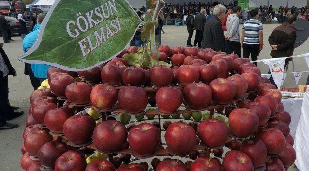 Kahramanmaraş'ta 7. Geleneksel Elma Festivali..