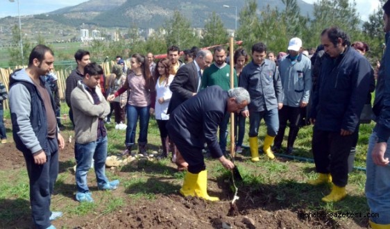 KSÜ Öğrencileri,Çanakkale Şehitleri Adına 100 Ceviz Fidanı Dikip Tekmil Verdi