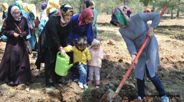  Kutlu Doğum Haftası Etkinlikleri Kapsamında Fidan Dikimi Gerçekleşti