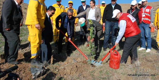 ORMAN GENEL MÜDÜRLÜĞÜ KIZILAY İŞBİRLİĞİ İLE AĞAÇLANDIRMA ÇALIŞMASI