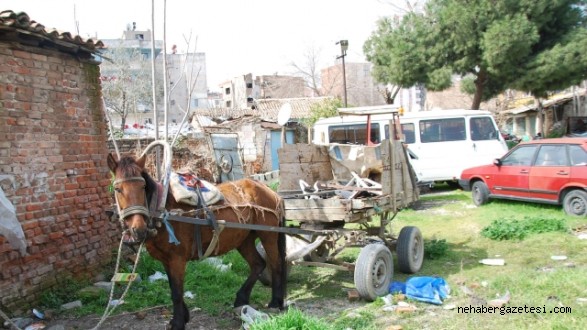 Polisin Şüphesi Boş Çıkmadı