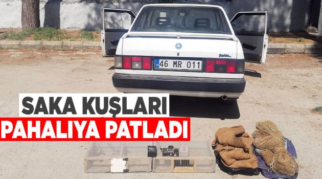 Saka kuşları pahalıya patladı