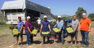 Şeker hastalarının gözdesi Superior seedless üzümünün ihracat yolculuğu 20 Temmuz'da başlıyor!